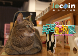 【樂公益 ‧ 角落動物園】第二集 - 雅風音樂貓咪中途之家