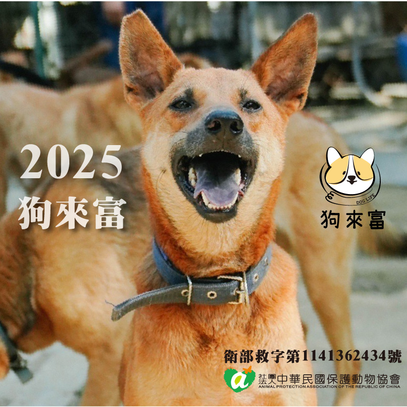 2025狗來富專案
