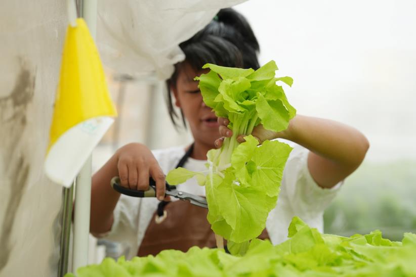 支持小作所，讓身障者用雙手種出自立的嫩芽