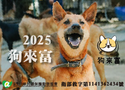 2025狗來富專案