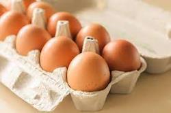 社福單位募集物資-新鮮雞蛋