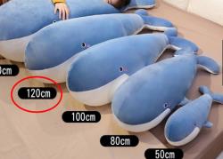 120公分大鯨魚抱枕